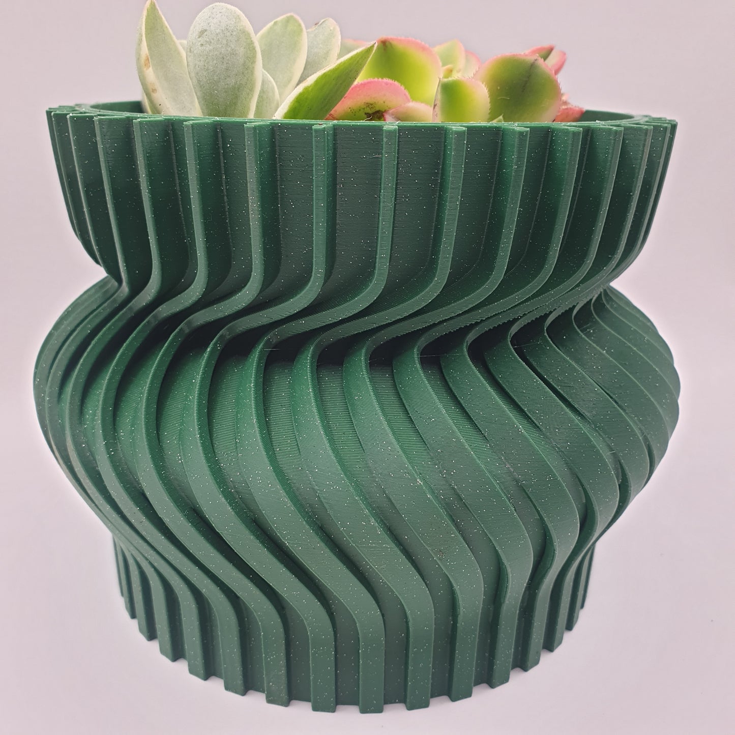 Vaso Decoração Suculentas